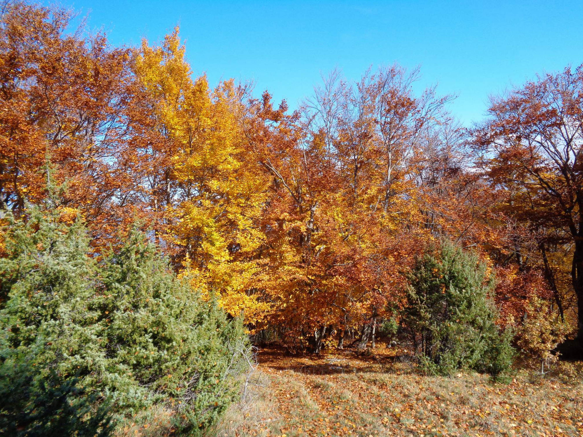 Escursioni e attività outdoor